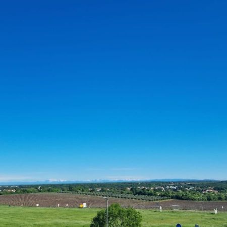 Apartmani Ritosa Novigrad Istria Dış mekan fotoğraf