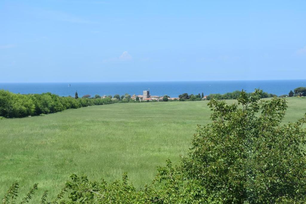 Apartmani Ritosa Novigrad Istria Dış mekan fotoğraf